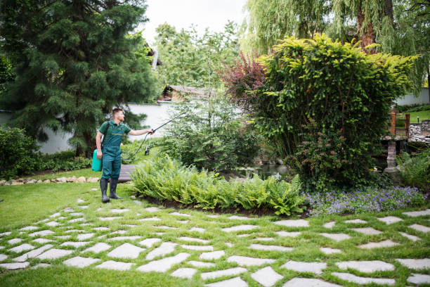 Trusted Weldon Spring, MO Pest Control Experts