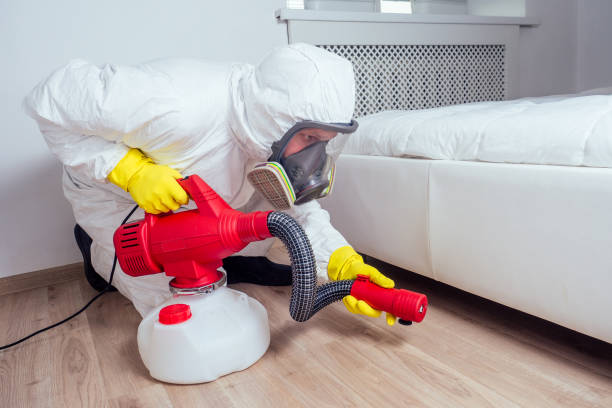 Best Local Pest Control Services  in Weldon Spring, MO